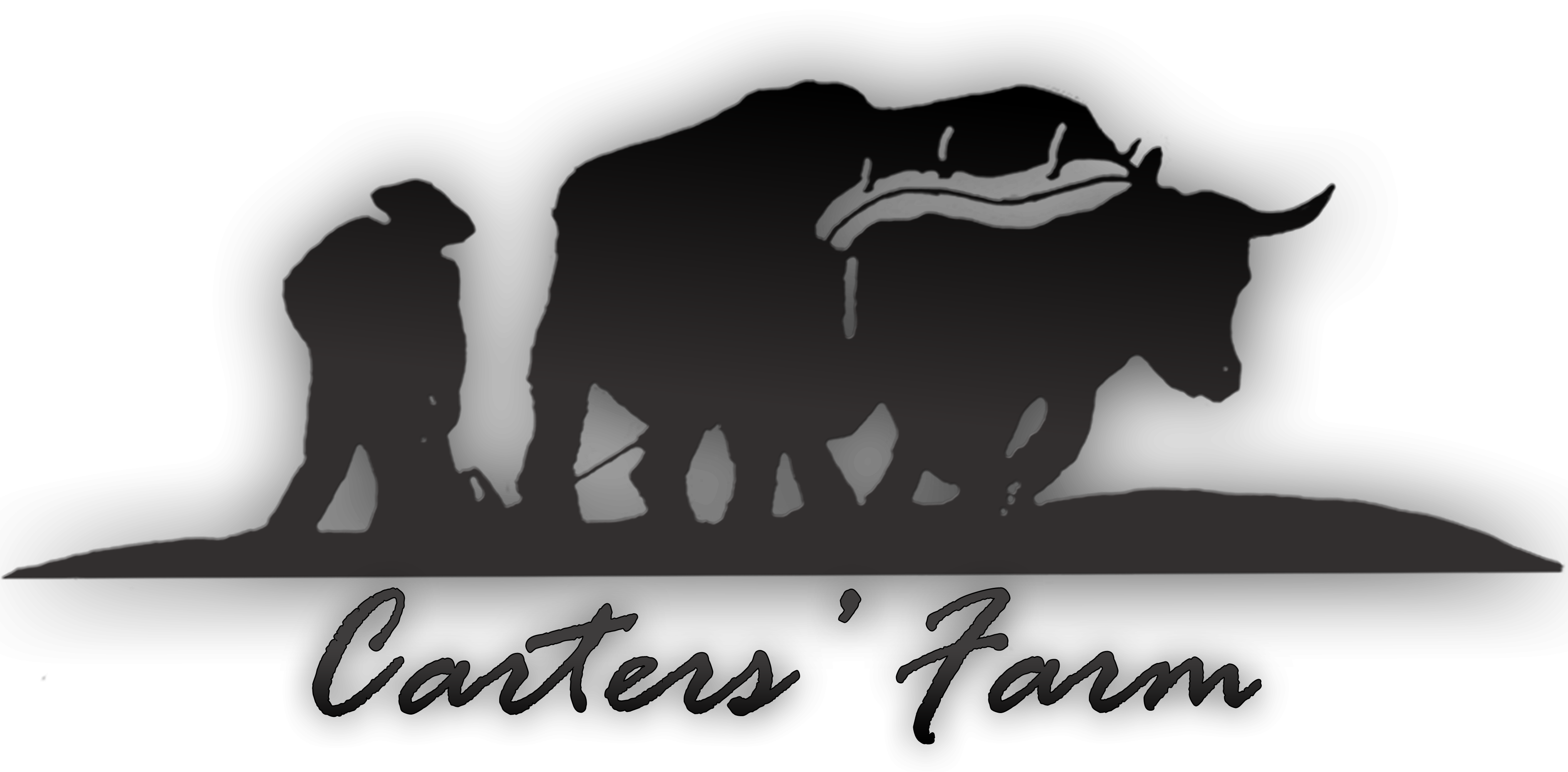 A Family Farm in Minnesota's Heartland